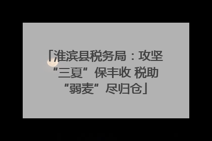 淮滨县税务局：攻坚“三夏”保丰收 税助“弱麦”尽归仓
