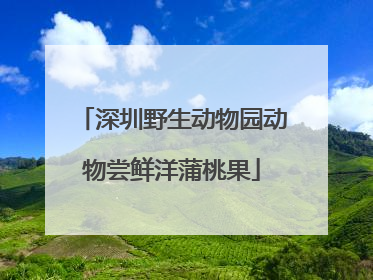 深圳野生动物园动物尝鲜洋蒲桃果