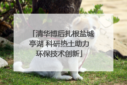 清华博后扎根盐城亭湖 科研热土助力环保技术创新
