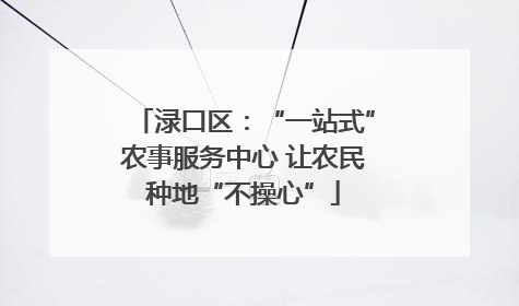 渌口区：“一站式”农事服务中心 让农民种地“不操心”