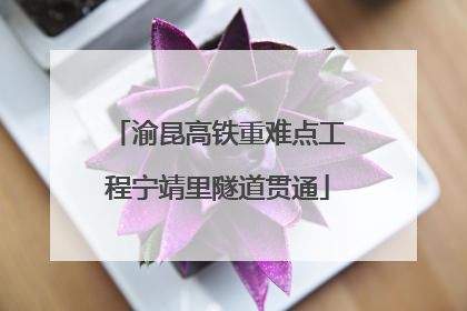 渝昆高铁重难点工程宁靖里隧道贯通