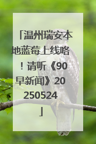温州瑞安本地蓝莓上线咯！请听《90早新闻》20250524