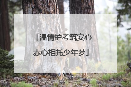 温情护考筑安心 赤心相托少年梦