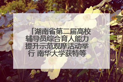 湖南省第二届高校辅导员综合育人能力提升示范观摩活动举行 南华大学获特等奖和一等奖