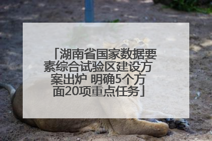 湖南省国家数据要素综合试验区建设方案出炉 明确5个方面20项重点任务