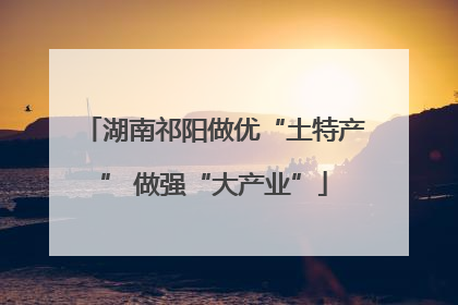 湖南祁阳做优“土特产” 做强“大产业”