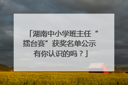 湖南中小学班主任“擂台赛”获奖名单公示 有你认识的吗？