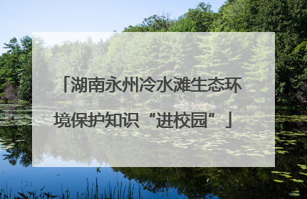 湖南永州冷水滩生态环境保护知识“进校园”