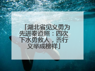 湖北省见义勇为先进秦遵照：四次下水勇救人，善行义举成榜样