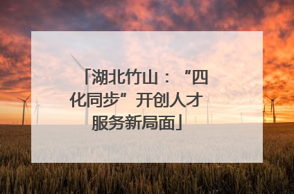 湖北竹山：“四化同步”开创人才服务新局面