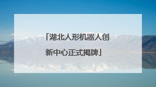 湖北人形机器人创新中心正式揭牌