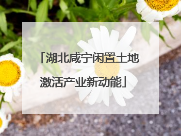湖北咸宁闲置土地激活产业新动能