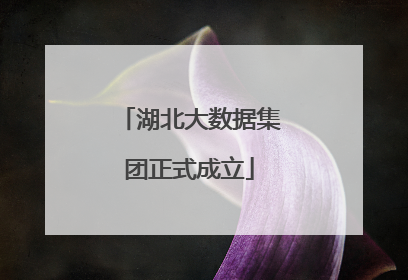 湖北大数据集团正式成立