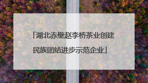 湖北赤壁赵李桥茶业创建民族团结进步示范企业