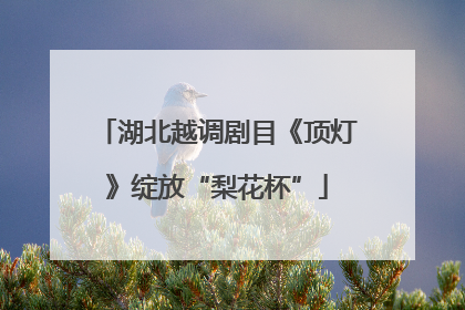 湖北越调剧目《顶灯》绽放“梨花杯”
