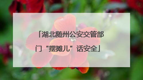 湖北随州公安交管部门“摆摊儿”话安全