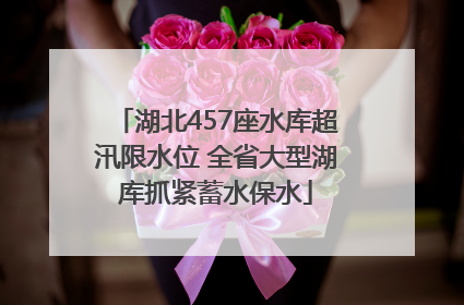 湖北457座水库超汛限水位 全省大型湖库抓紧蓄水保水