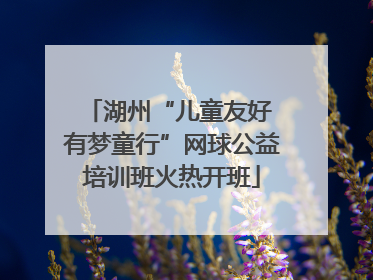 湖州“儿童友好 有梦童行”网球公益培训班火热开班