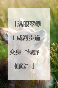 满眼翠绿！威海步道变身“绿野仙踪”