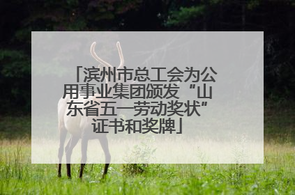 滨州市总工会为公用事业集团颁发“山东省五一劳动奖状”证书和奖牌