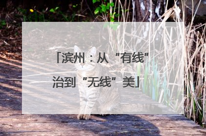 滨州：从“有线”治到“无线”美