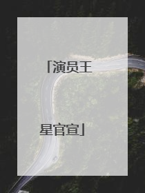 演员王星官宣