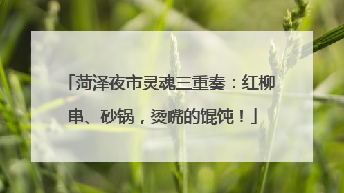 菏泽夜市灵魂三重奏：红柳串、砂锅，烫嘴的馄饨！