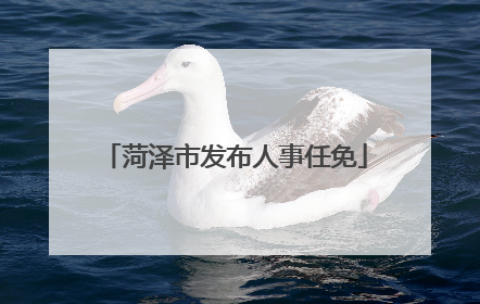 菏泽市发布人事任免