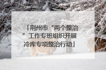 荆州市“两个整治”工作专班组织开展冷库专项整治行动