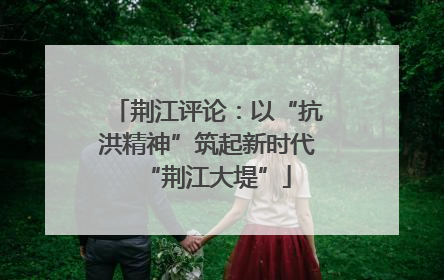 荆江评论：以“抗洪精神”筑起新时代“荆江大堤”