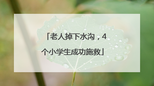老人掉下水沟，4个小学生成功施救