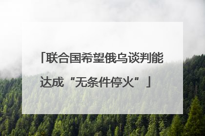 联合国希望俄乌谈判能达成“无条件停火”
