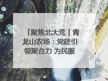聚焦北大荒｜青龙山农场：党建引领聚合力 为民服务践初心