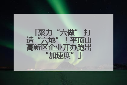 聚力“六做” 打造“六地”！平顶山高新区企业开办跑出“加速度”