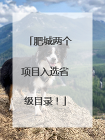 肥城两个项目入选省级目录！