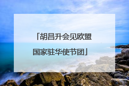 胡昌升会见欧盟国家驻华使节团