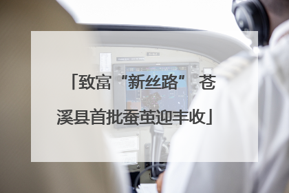 致富“新丝路” 苍溪县首批蚕茧迎丰收