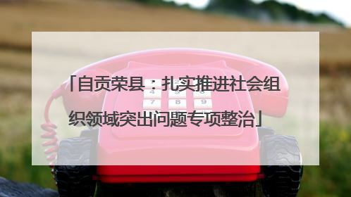 自贡荣县：扎实推进社会组织领域突出问题专项整治
