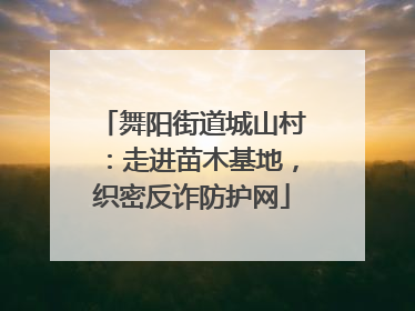 舞阳街道城山村：走进苗木基地，织密反诈防护网