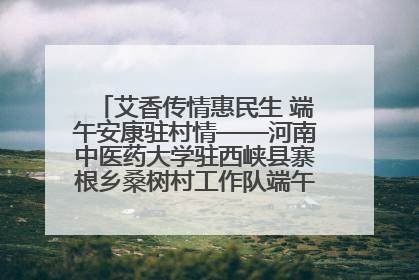 艾香传情惠民生 端午安康驻村情——河南中医药大学驻西峡县寨根乡桑树村工作队端午中医惠民记
