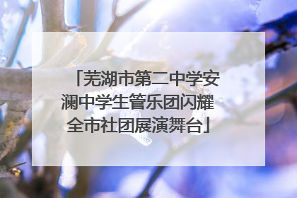 芜湖市第二中学安澜中学生管乐团闪耀全市社团展演舞台