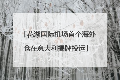 花湖国际机场首个海外仓在意大利揭牌投运