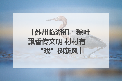 苏州临湖镇：粽叶飘香传文明 村村有“戏”树新风