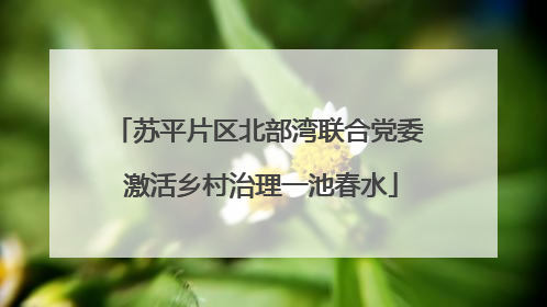 苏平片区北部湾联合党委 激活乡村治理一池春水