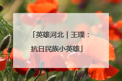 英雄河北｜王璞：抗日民族小英雄