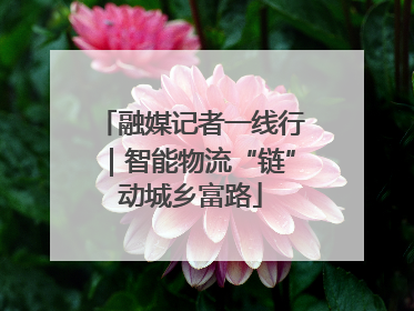融媒记者一线行｜智能物流“链”动城乡富路