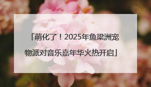 萌化了！2025年鱼梁洲宠物派对音乐嘉年华火热开启