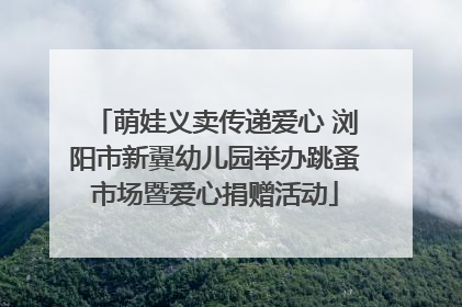 萌娃义卖传递爱心 浏阳市新翼幼儿园举办跳蚤市场暨爱心捐赠活动