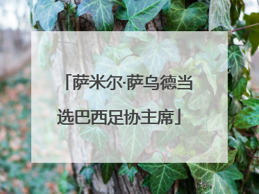 萨米尔·萨乌德当选巴西足协主席