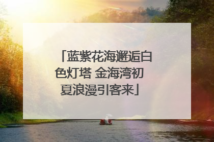 蓝紫花海邂逅白色灯塔 金海湾初夏浪漫引客来